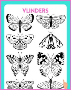 vlinders kleurplaat downloaden en printen